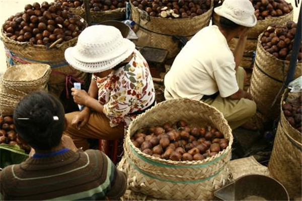 蛇皮果的功效与作用 蛇皮果堪称“记忆之果”