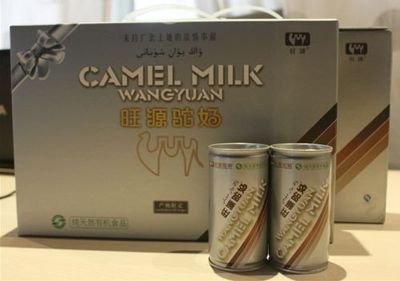 骆驼奶比牛奶好吗,骆驼奶粉和牛奶粉有什么区别
