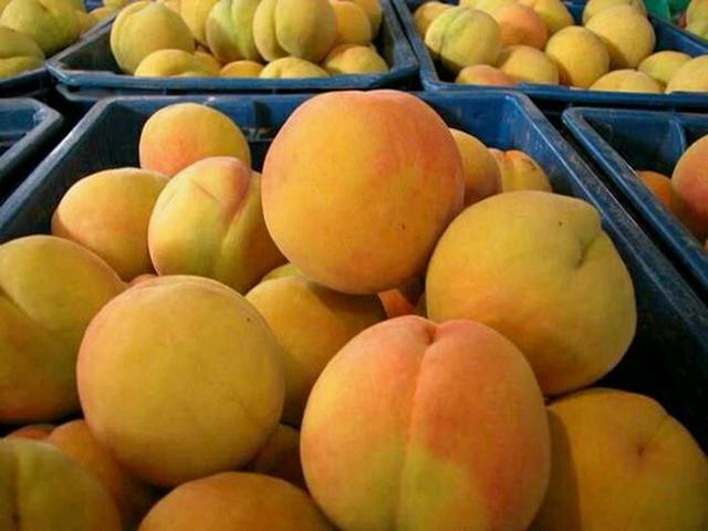 黄桃子的热量高吗,黄桃和桃子的功效与作用