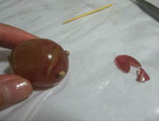 葡萄这样切就成一只兔子,也可以是一朵花