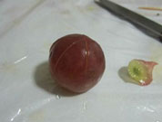 葡萄这样切就成一只兔子,也可以是一朵花