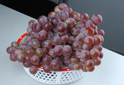 来月经可以吃红提吗,红提的皮怎么剥好