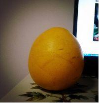 柚子龙猫怎么做,可爱的柚子龙猫做法(图文)