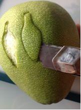 柚子龙猫怎么做,可爱的柚子龙猫做法(图文)