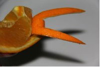 橙子水果拼盘图片,橙子拼盘怎么做