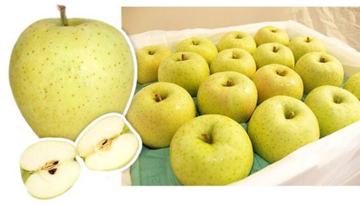 苹果的种类有哪些,什么苹果品种最好