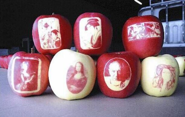 苹果的种类有哪些,什么苹果品种最好