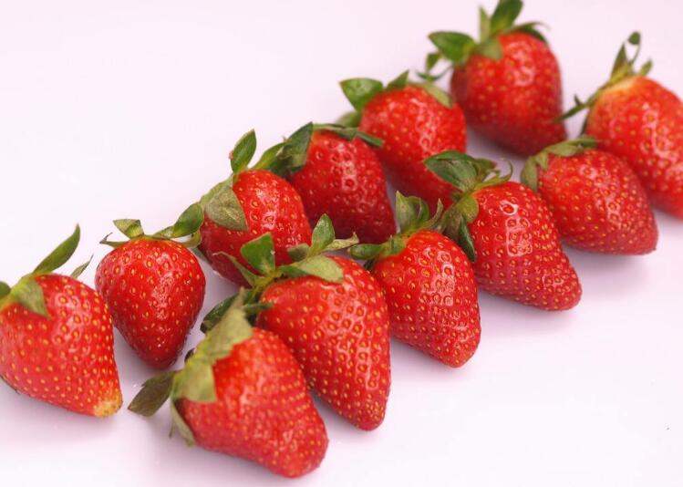 草莓图片,草莓开花图片,野草莓图片