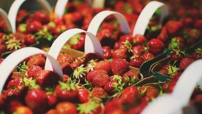 草莓水培营养液怎么配 自制草莓营养液方法