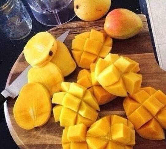 芒果图片,芒果树图片,芒果是什么季节的水果