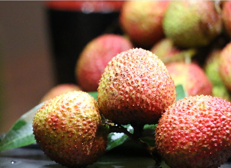 广西灵山荔枝图片,美味的妃子笑荔枝