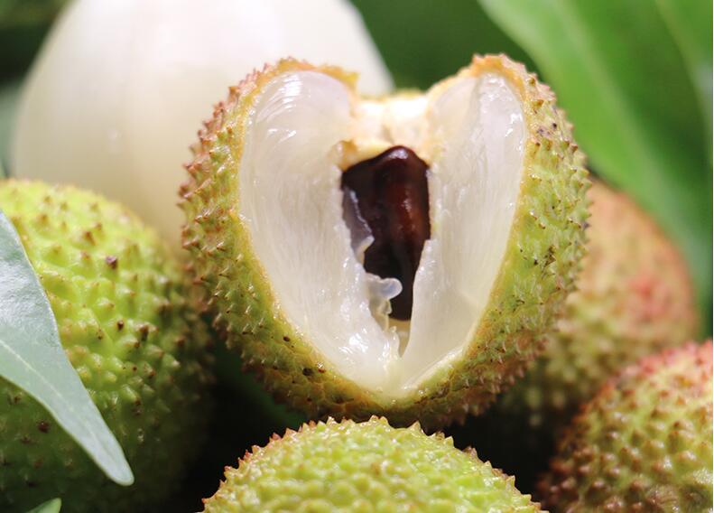 广西灵山荔枝图片,美味的妃子笑荔枝