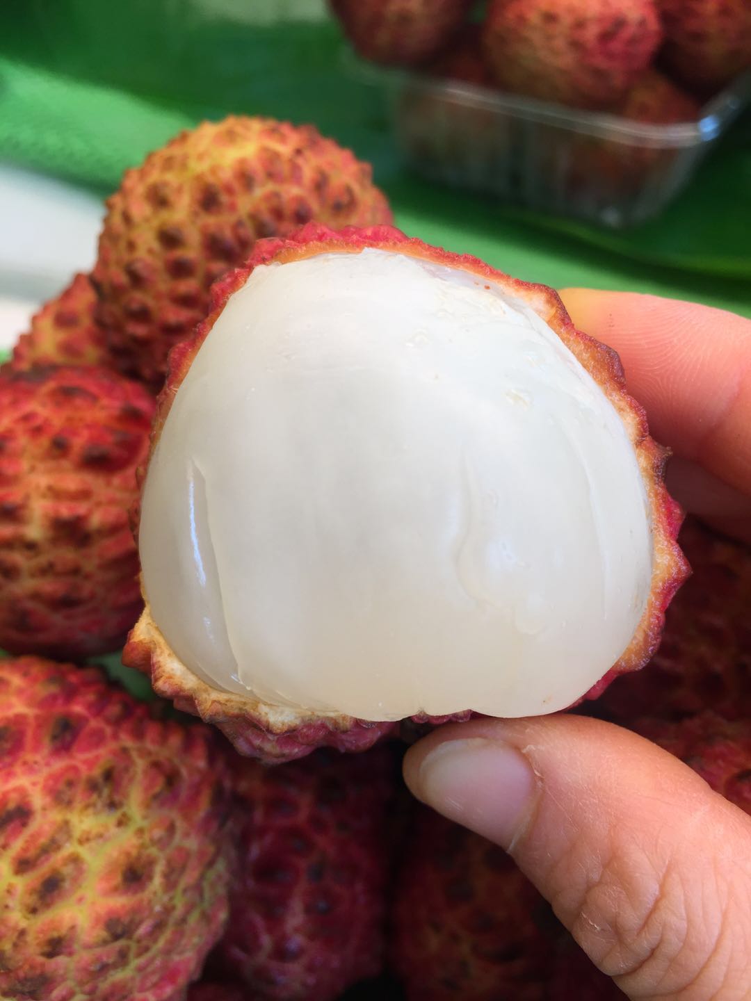 新鲜可口的大荔枝图片大全,高清荔枝图片