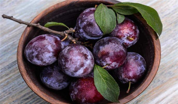 李子酒的酿制方法,李子酒制作具体步骤(详解)