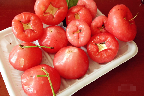 莲雾什么季节吃最好 莲雾几月份成熟(7月份)