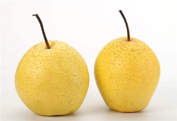 梨子几月份熟,梨子的成熟季节(7-8月份)