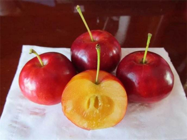 沙果图片 东北沙果图片 辨认沙果图片大全