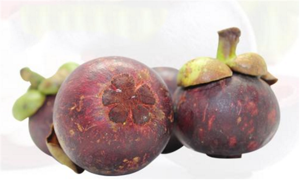 山竹是几月份成熟 最成熟的山竹在7-9月份