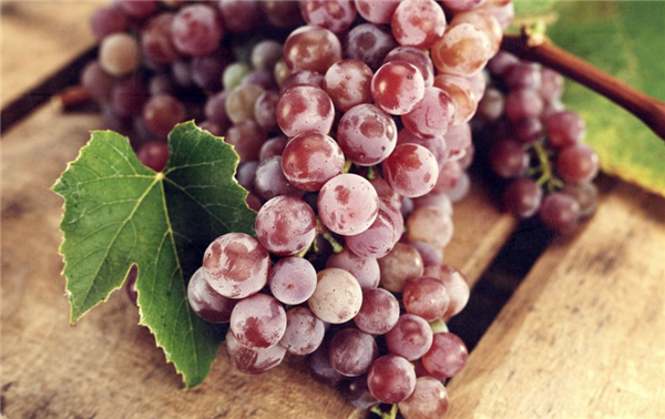 葡萄皮可以吃吗,葡萄皮有很好的抗癌效果