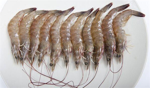 基围虾价格多少钱一斤,基围虾价格20-50元不等