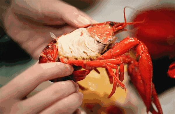 洗虾粉洗过龙虾能活吗,洗过的龙虾都表示奄奄一息生无可恋