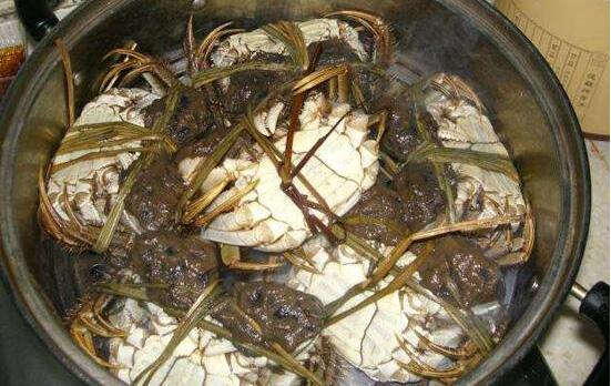 螃蟹开水蒸还是凉水蒸,蒸螃蟹水开后放入蒸