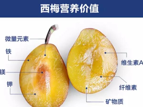 西梅是什么季节水果,西梅的营养价值
