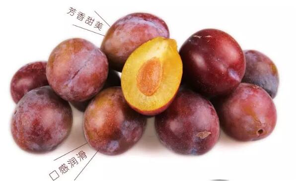 西梅是什么季节水果,西梅的营养价值