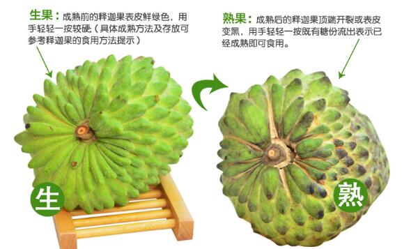 释迦果的籽有毒吗,释迦果的籽有什么用