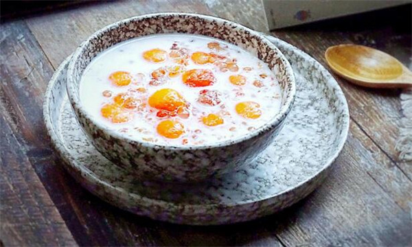 木瓜牛奶怎么做,简单一学就会木瓜牛奶的做法