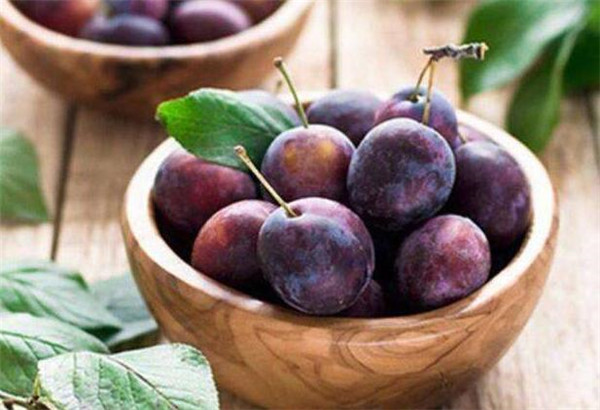 中国哪些地方种植西梅,西梅中国哪里可以种植