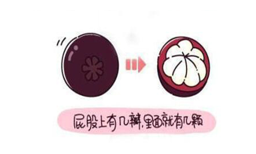 山竹水果的正确吃法漫画,挑选水果的正确吃法山竹篇