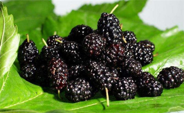 儿童缺铁性贫血吃什么水果好,儿童缺铁性贫血吃红枣香蕉荔枝樱桃