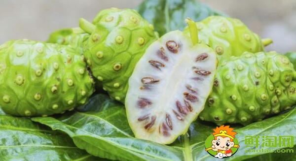 抗氧化水果有哪些，最具抗氧化的水果排名(十佳排行榜)