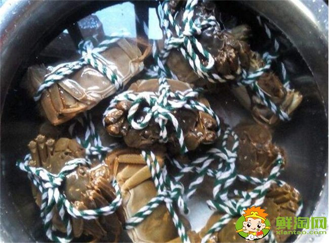 梭子蟹怎么洗最干净,梭子蟹怎么洗干净图解