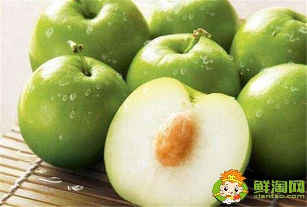 青枣可以减肥吗,牛奶青枣的营养价值