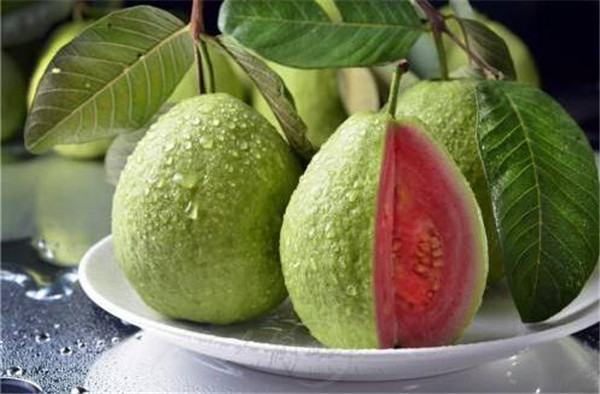 番石榴籽能吃吗,番石榴怎么吃籽
