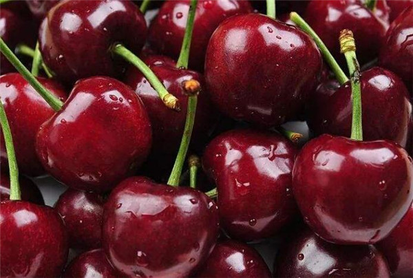 樱桃品种排名,樱桃品种大全