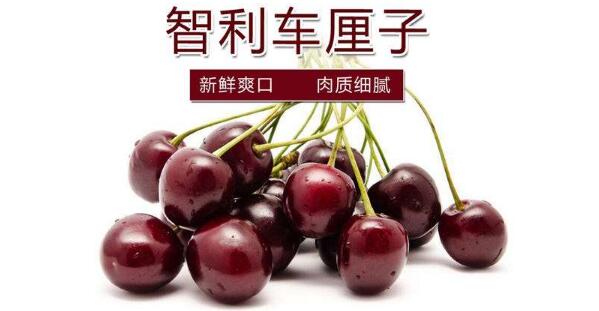 进口樱桃品种排名,樱桃品种介绍及排名