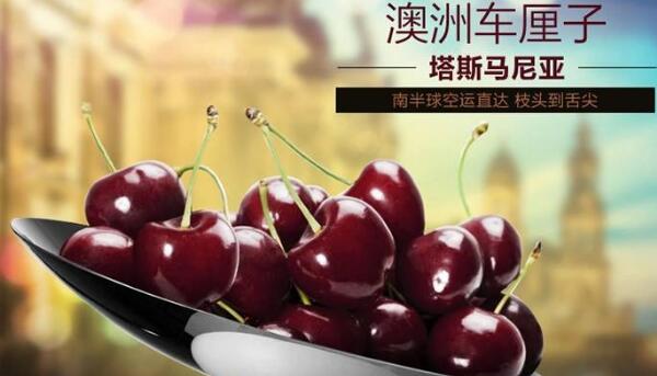 进口樱桃品种排名,樱桃品种介绍及排名