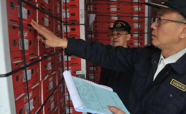 进口樱桃品种排名,樱桃品种介绍及排名