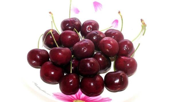 樱桃什么时候成熟季节,樱桃品种成熟时间排名(樱桃时间品种排名)