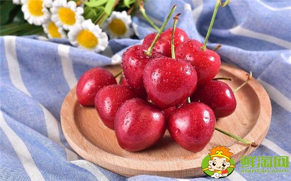 最大的樱桃是什么品种,特大樱桃品种排名