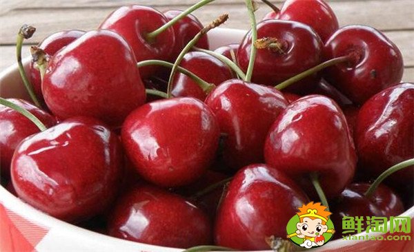 最大的樱桃是什么品种,特大樱桃品种排名