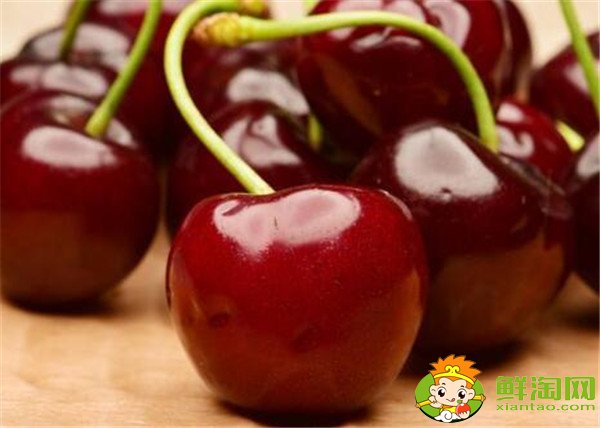 智利樱桃什么时候成熟,智利樱桃品种排名