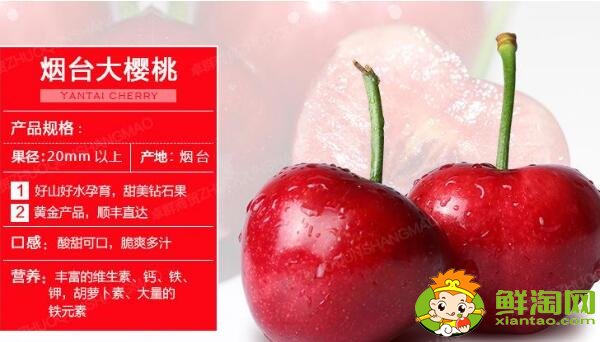 山东烟台的樱桃什么时候成熟,烟台樱桃成熟的季节初夏4月中旬