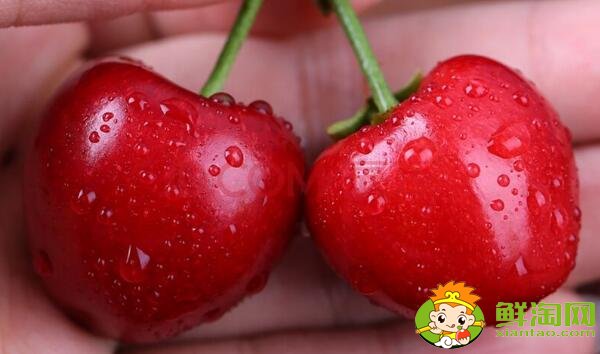 山东烟台的樱桃什么时候成熟,烟台樱桃成熟的季节初夏4月中旬