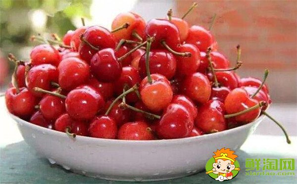 中国樱桃品种排名,中国本土樱桃品种那种最好