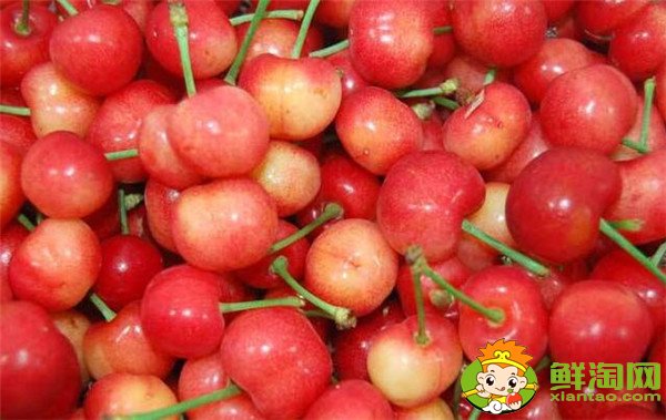 中国樱桃品种排名,中国本土樱桃品种那种最好