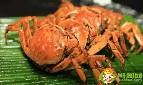 柿子饼孕妇可以吃吗,柿子饼孕妇能吃吗(孕妇吃柿子饼的禁忌)